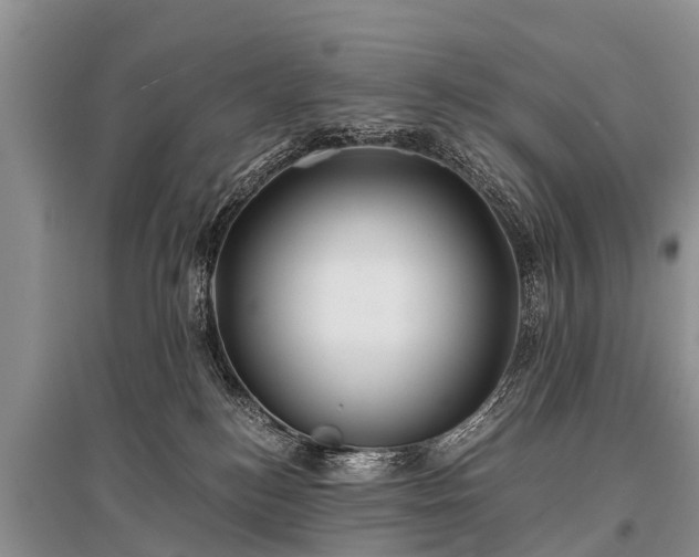 X0000096140184200801251050
