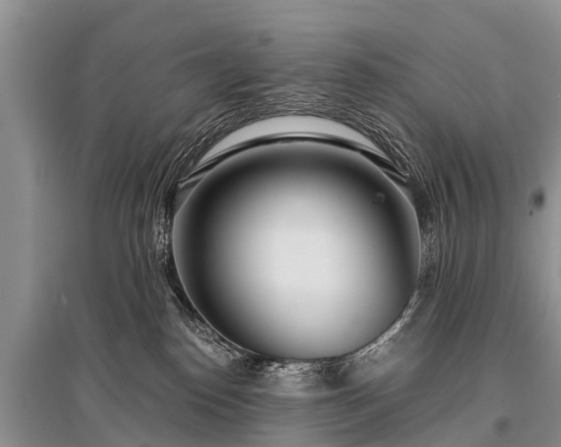 X0000096140186200801251050