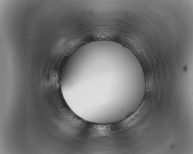 X0000096140187200801251050