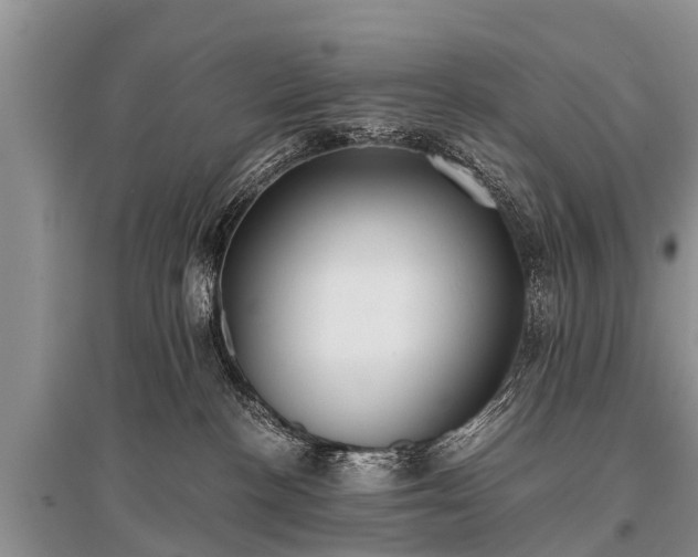 X0000096140188200801251050