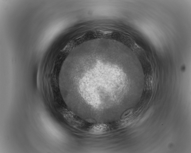 X0000096140189200801251050
