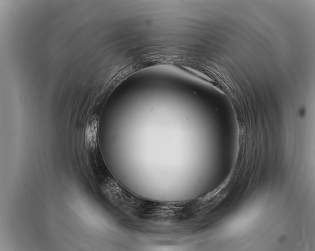 X0000096140190200801251050