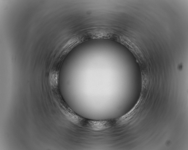 X0000096140191200801251050