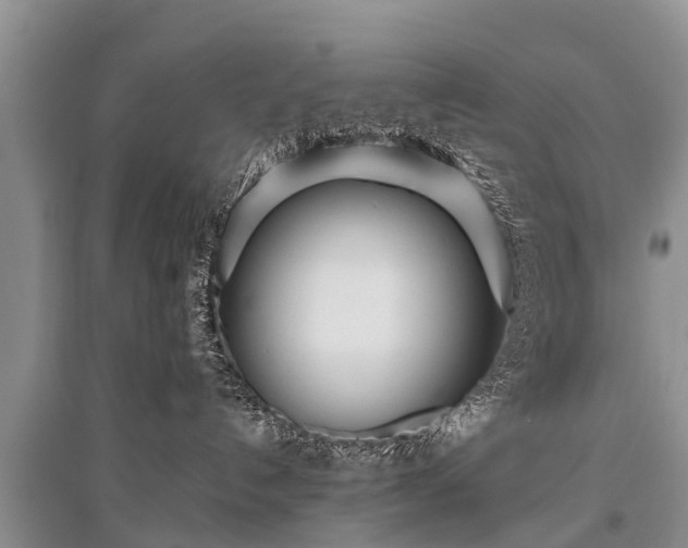 X0000096140192200801251050