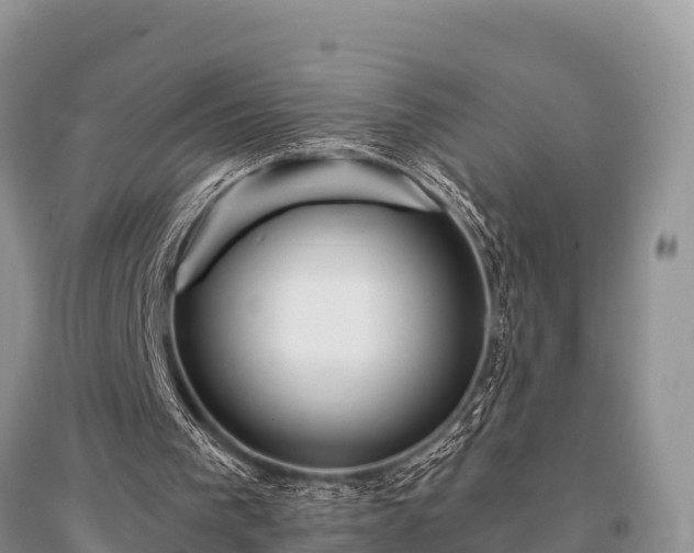 X0000096140193200801251049