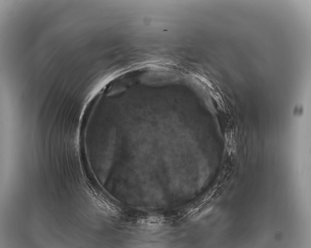 X0000096140196200801251049