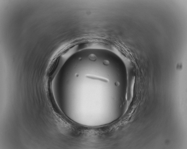 X0000096140197200801251049
