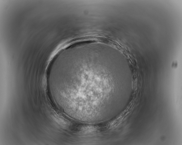 X0000096140198200801251049