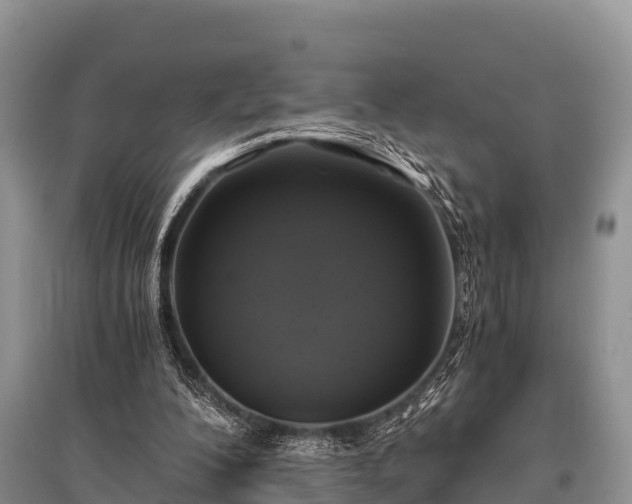 X0000096140200200801251049