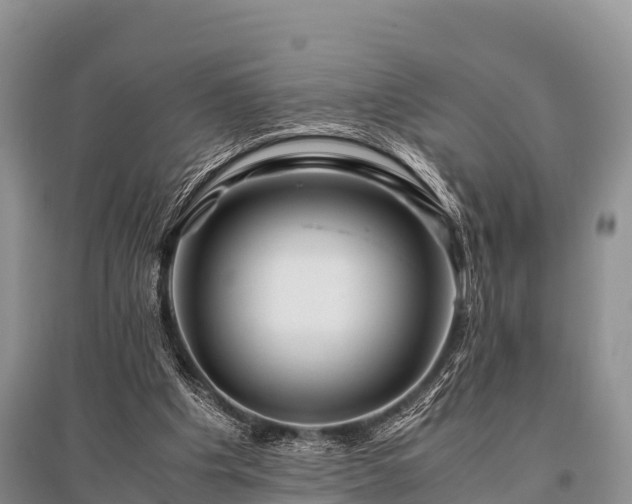 X0000096140201200801251049