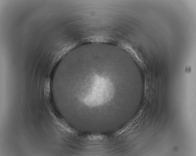 X0000096140202200801251049