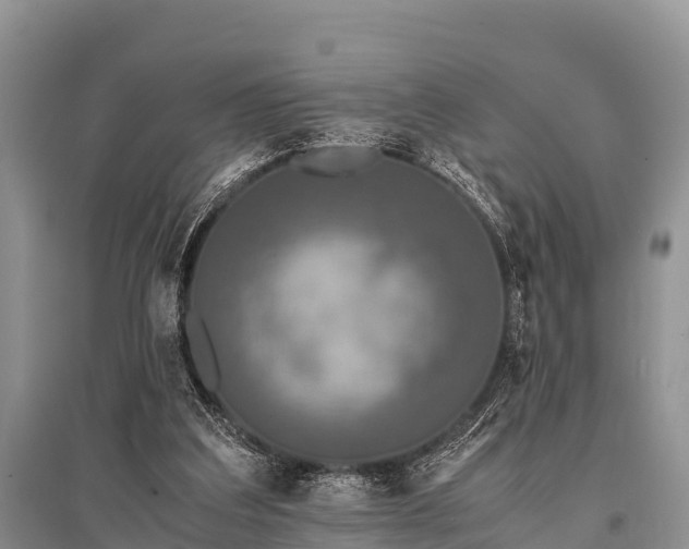X0000096140203200801251049