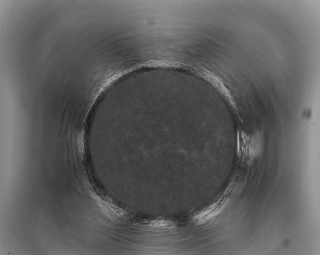 X0000096140204200801251049
