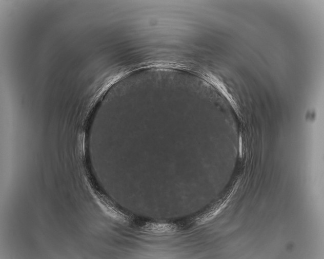 X0000096140205200801251049