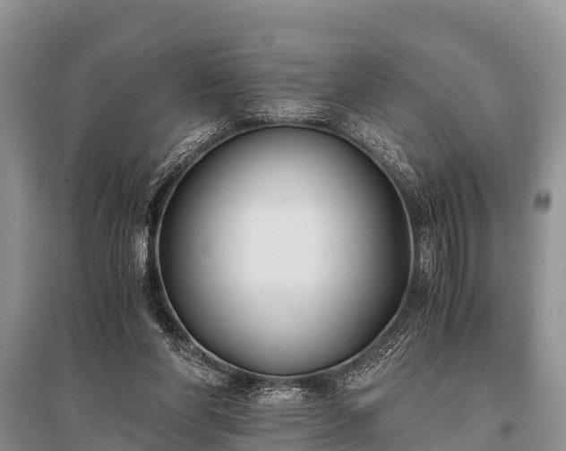X0000096140206200801251049
