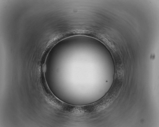 X0000096140207200801251049