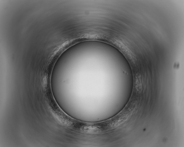 X0000096140208200801251049
