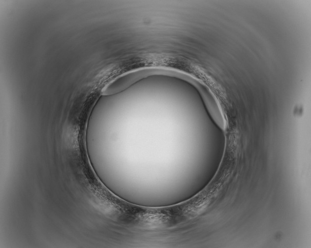 X0000096140209200801251049