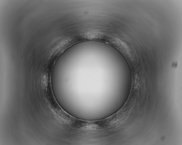 X0000096140210200801251049