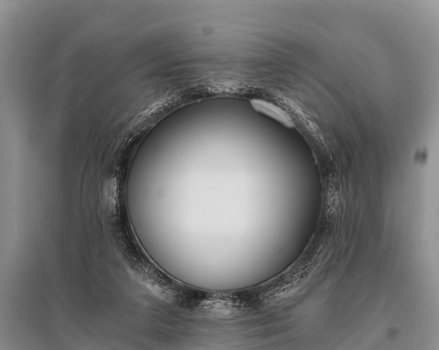 X0000096140211200801251049