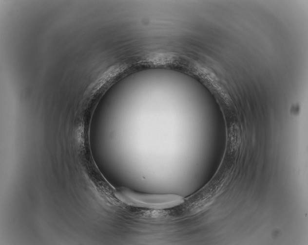 X0000096140212200801251049