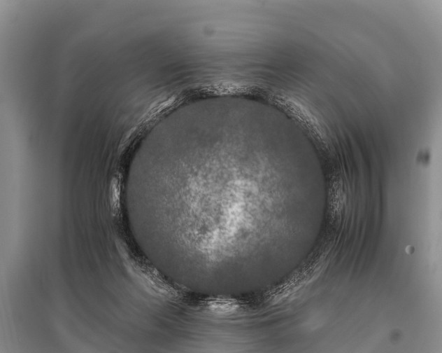 X0000096140214200801251049