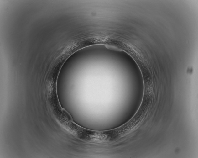 X0000096140215200801251049
