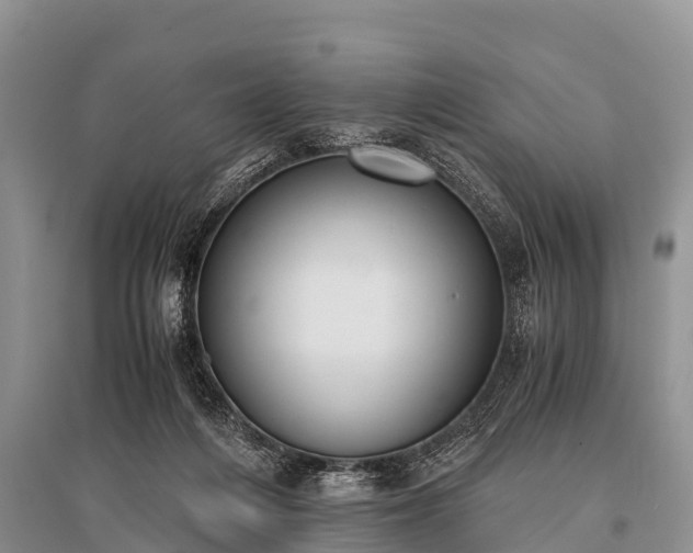 X0000096140216200801251049