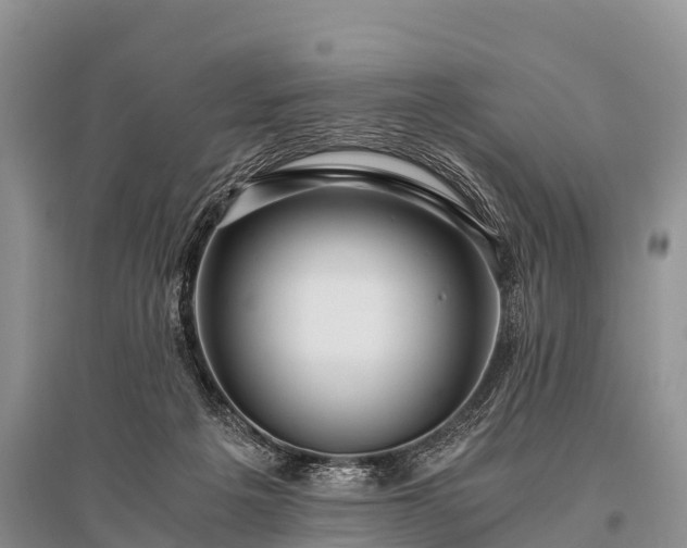 X0000096140217200801251049