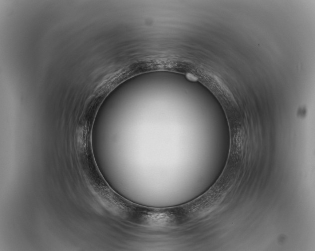 X0000096140218200801251049