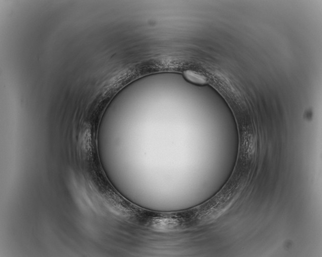 X0000096140220200801251049