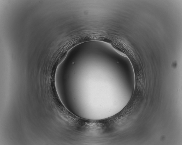 X0000096140221200801251049