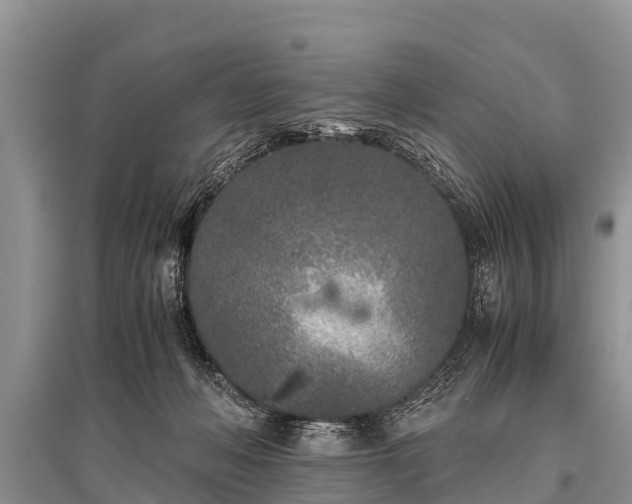 X0000096140222200801251049