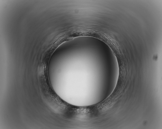 X0000096140225200801251049