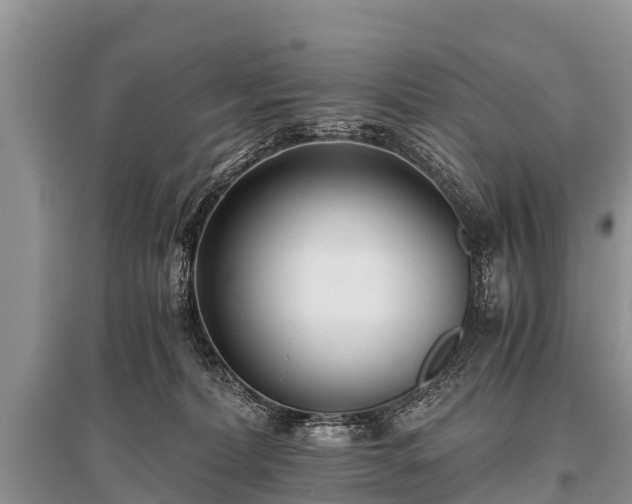 X0000096140228200801251049