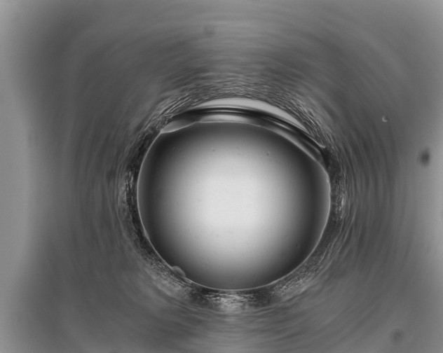 X0000096140229200801251049
