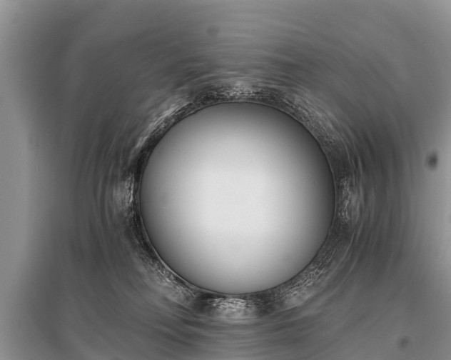 X0000096140230200801251049