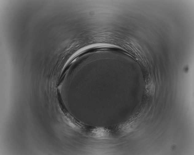 X0000096140231200801251049