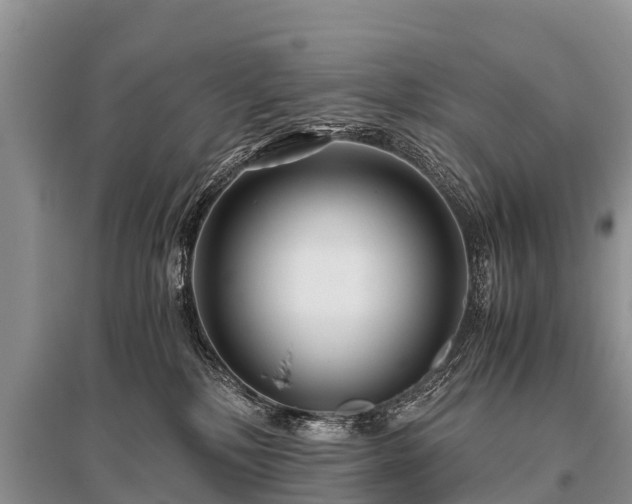 X0000096140232200801251049