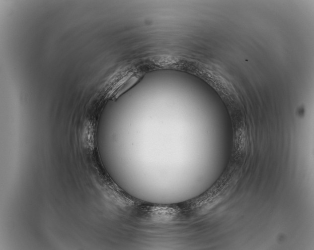 X0000096140234200801251049