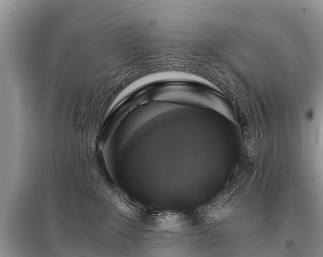 X0000096140235200801251049