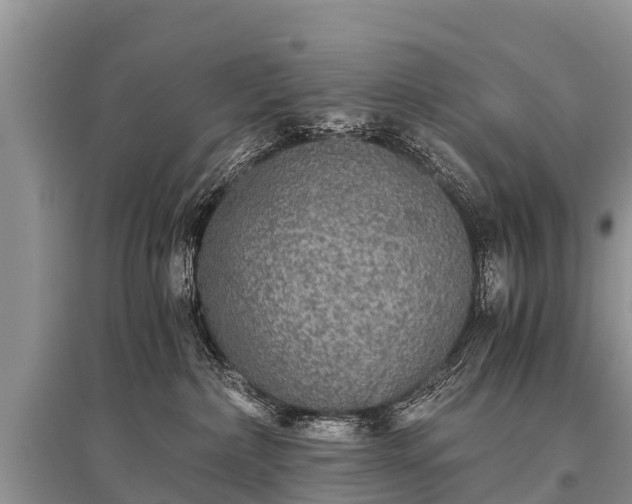 X0000096140236200801251049