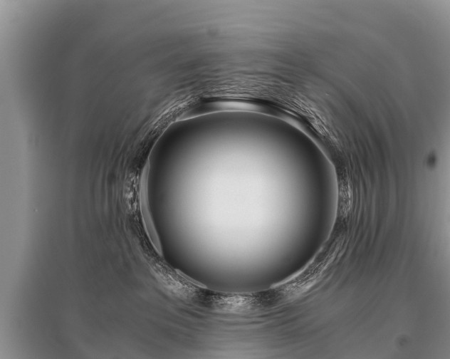 X0000096140237200801251048