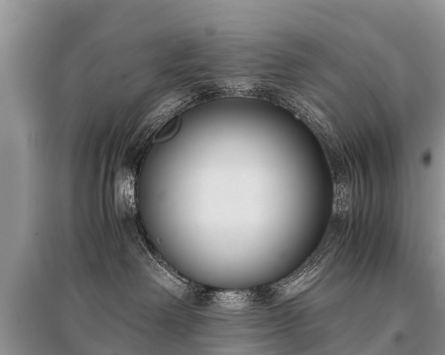 X0000096140238200801251048