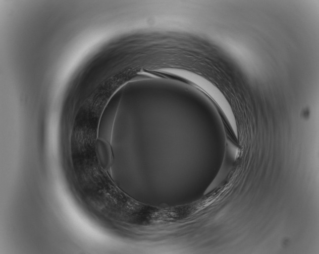 X0000096140239200801251048