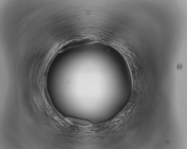 X0000096140241200801251048