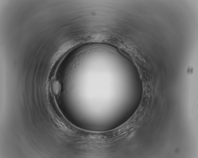 X0000096140242200801251048