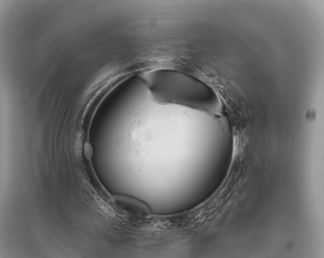 X0000096140243200801251048