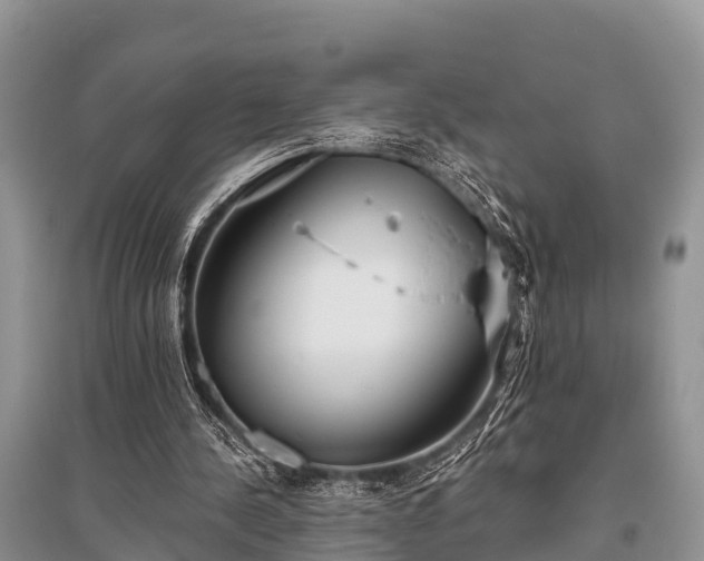 X0000096140244200801251048