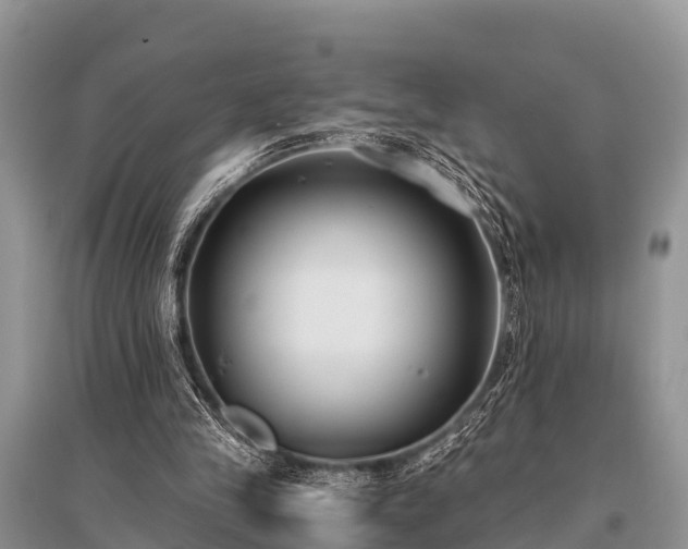 X0000096140245200801251048